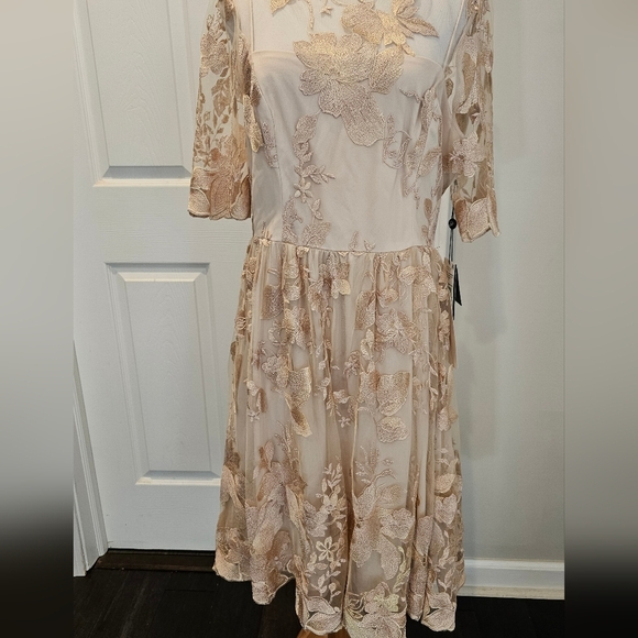 Adrianna Papell Size 12 Blush gold mesh embroidered short illusion dress New Tag - Picture 3 of 14